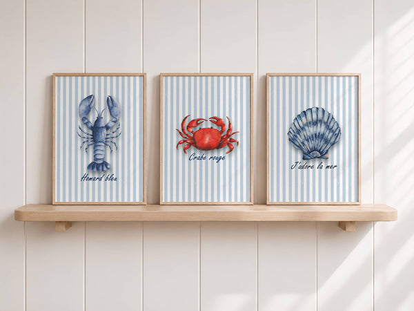 Three framed nautical art prints displayed on a light wood shelf against a white paneled wall. The left print shows a blue lobster labeled 'Hormis léché', the center print shows a red crab labeled 'Crève rouge', and the right print shows a blue scallop shell labeled 'J’adore la mer'.