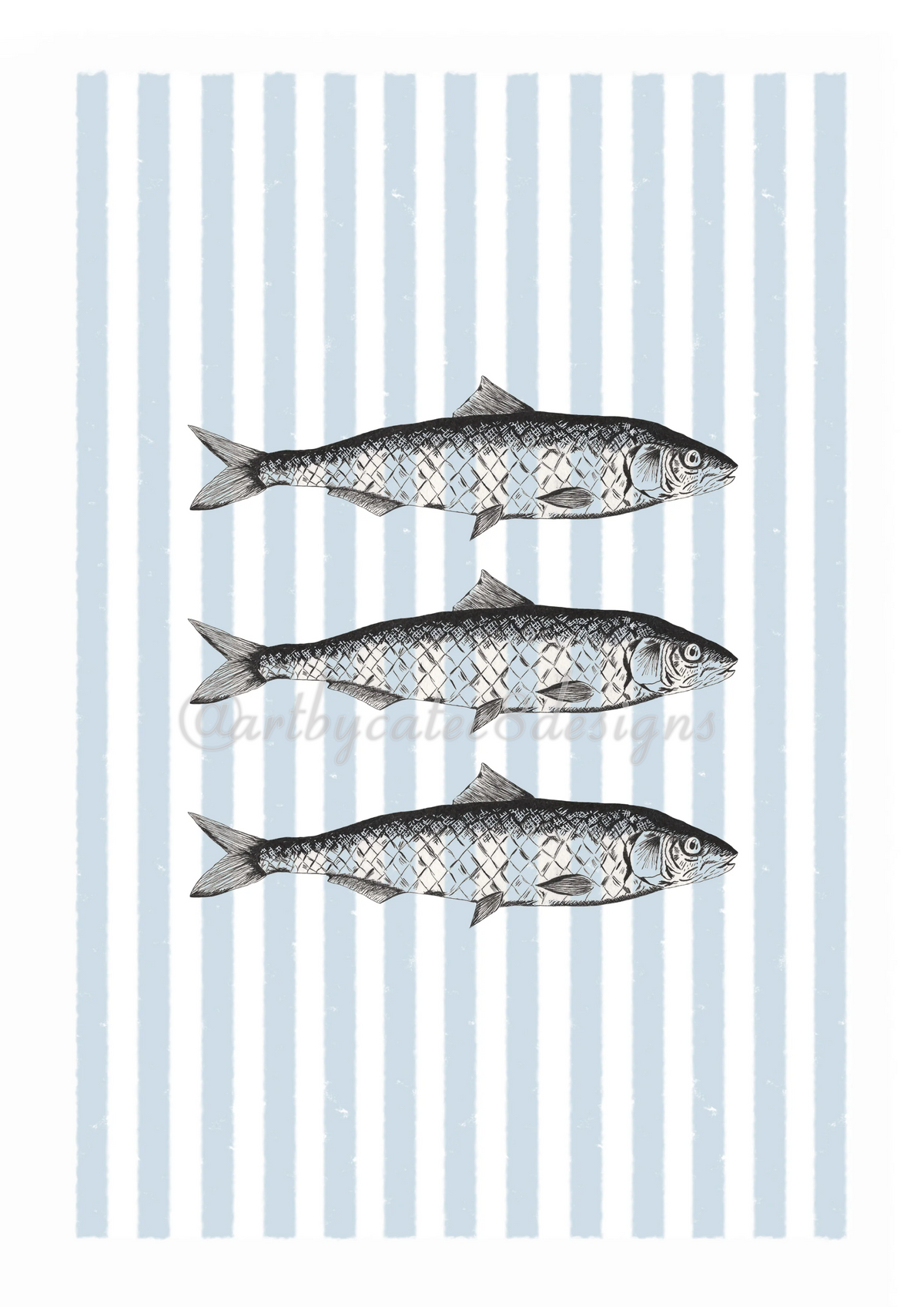 Watermarked - SARDINES Ink Drawing Art Print - Blue Stripe 
An art print featuring three horizontal illustrations of silver and grey fish on a background of vertical light blue and white stripes.